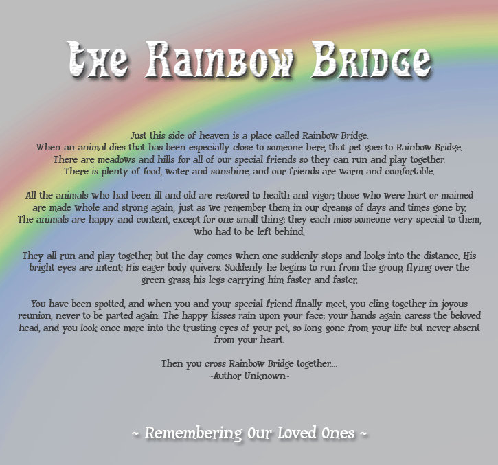 Rainbow Bridge Poem